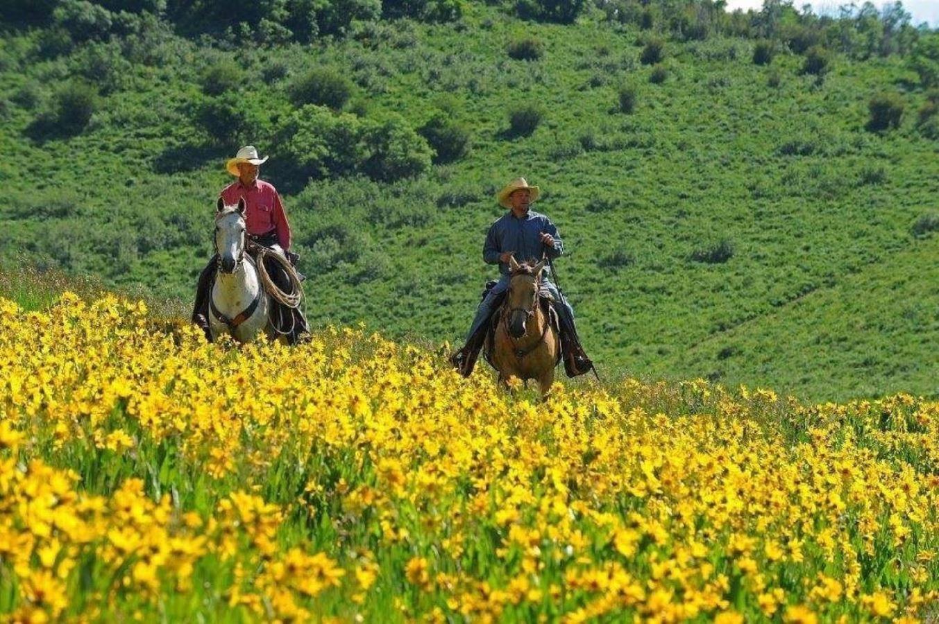 Western Lodge Steamboat Springs Bagian luar foto