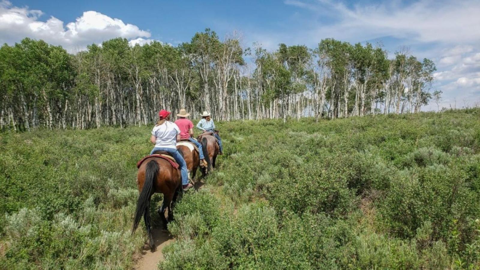 Western Lodge Steamboat Springs Bagian luar foto